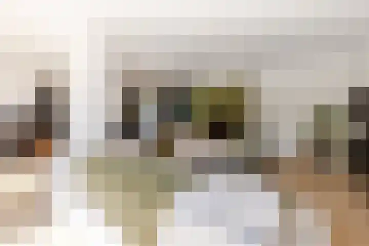 Zonnebloemlaan 224 Drunen thumbnail 5