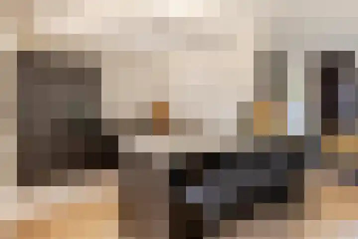 Zonnebloemlaan 224 Drunen thumbnail 9