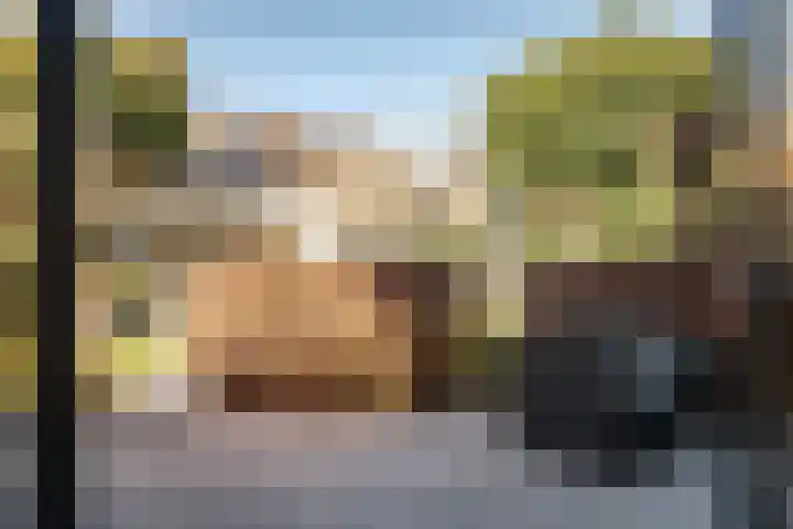 Zonnebloemlaan 32 Aerdenhout thumbnail 22