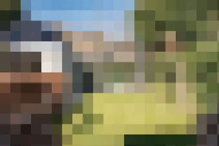 Zonnebloemlaan 32 Aerdenhout thumbnail 25