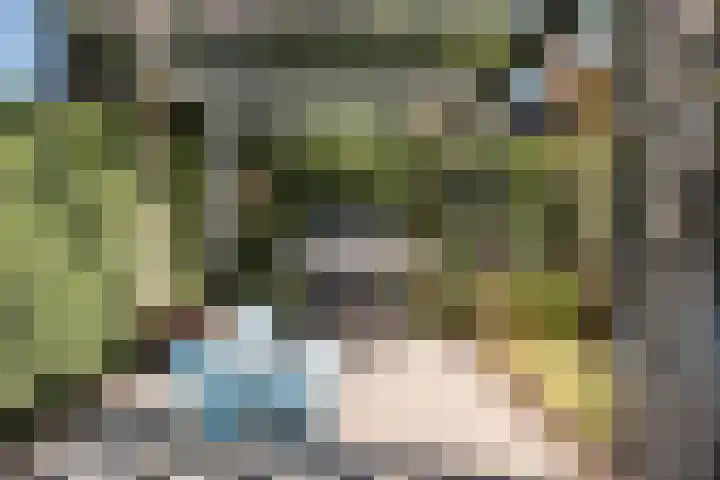 Zonnebloemlaan 32 Aerdenhout thumbnail 26