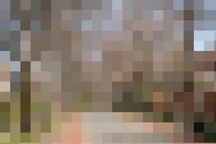 Zonnebloemlaan 32 Aerdenhout thumbnail 55