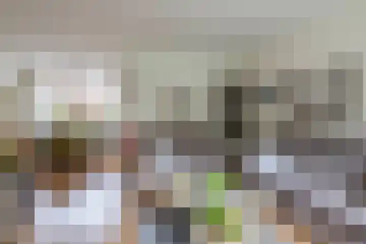 Zonnebloempad 10 Stellendam thumbnail 10
