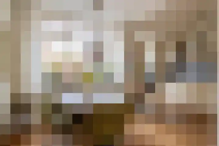 Zonnebloempad 10 Stellendam thumbnail 14