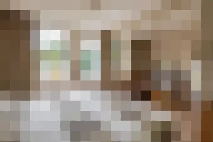 Zonnebloempad 10 Stellendam thumbnail 26