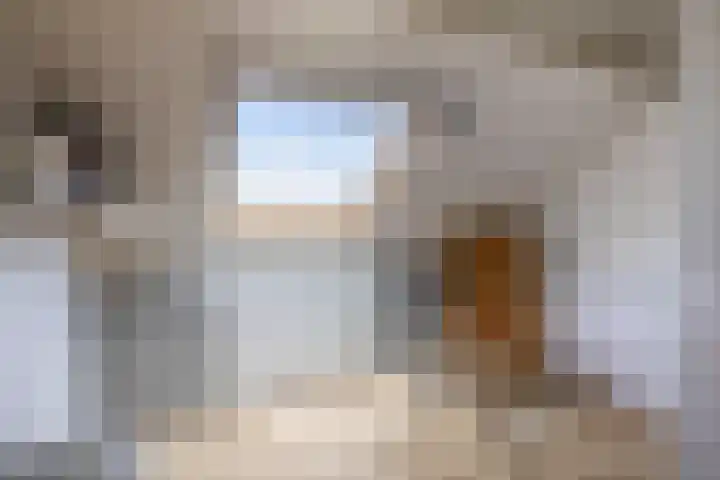Zonnebloempad 10 Stellendam thumbnail 33