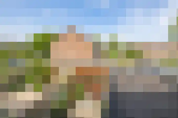 Zonnebloempad 10 Stellendam thumbnail 35