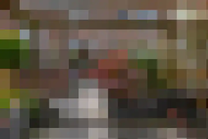 Zonnebloempad 10 Stellendam thumbnail 37