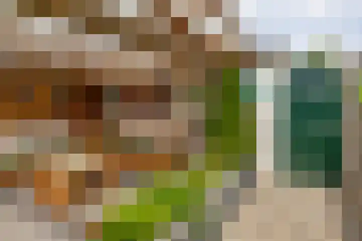 Zonnebloempad 10 Stellendam thumbnail 39