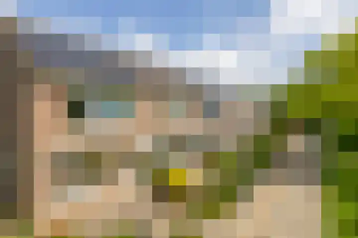 Zonnebloempad 10 Stellendam thumbnail 4