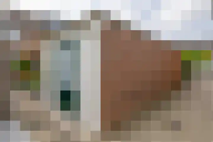 Zonnebloempad 10 Stellendam thumbnail 40