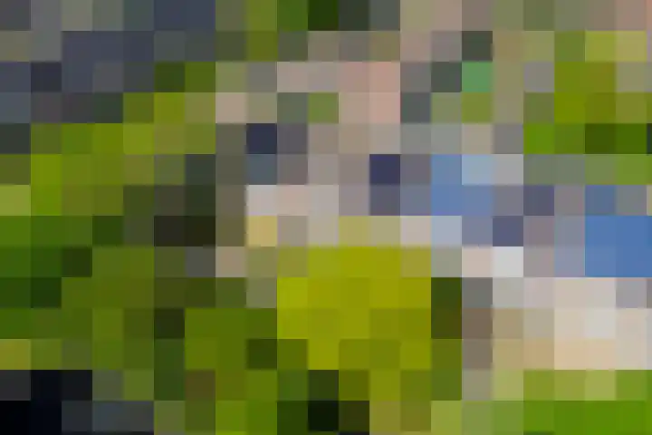Zonnebloempad 10 Stellendam thumbnail 41
