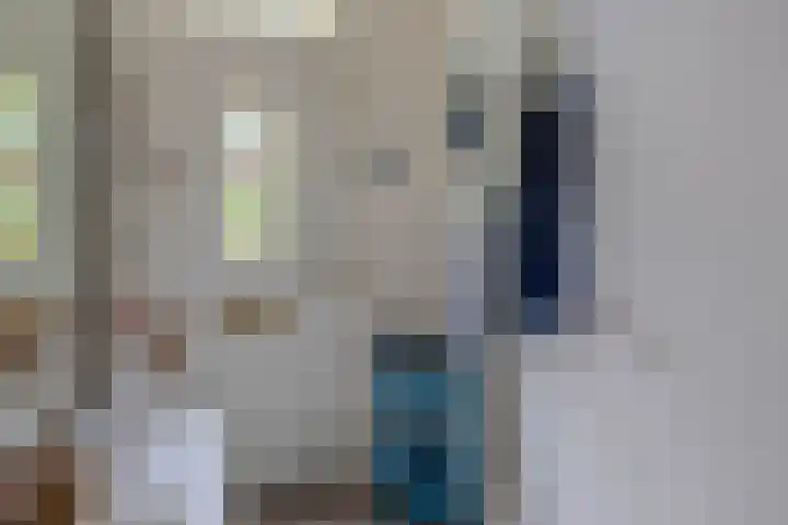 Zonnebloempad 10 Stellendam thumbnail 7