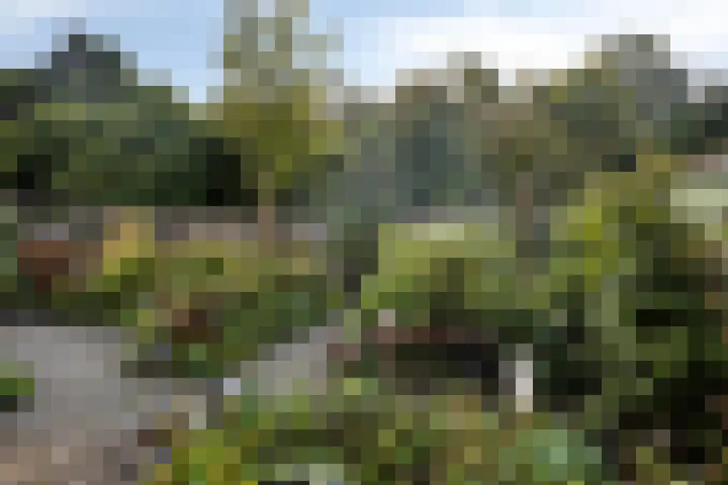 Zonnebloempad 34 Swifterbant thumbnail 12