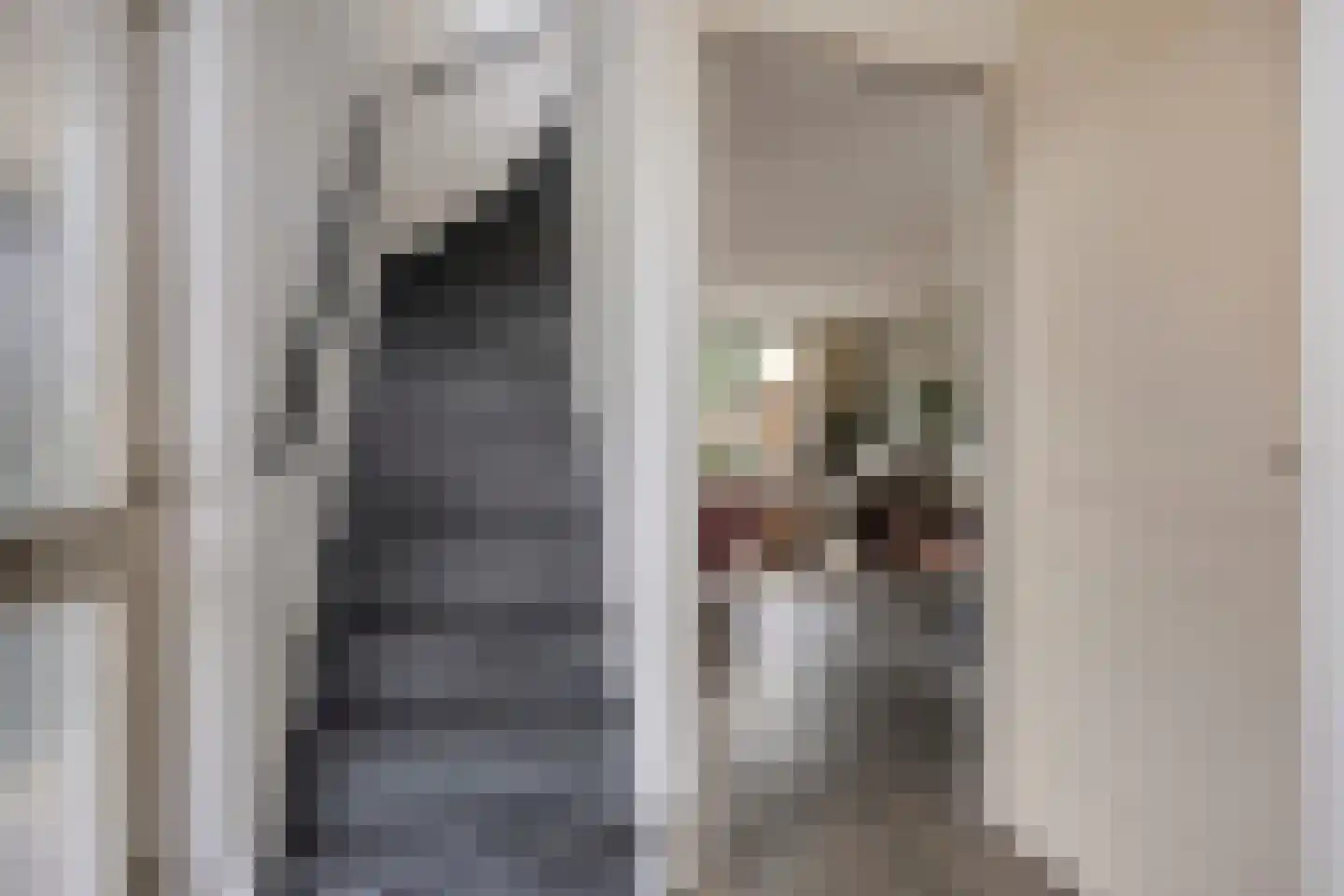 Zonnebloempad 34 Swifterbant thumbnail 15