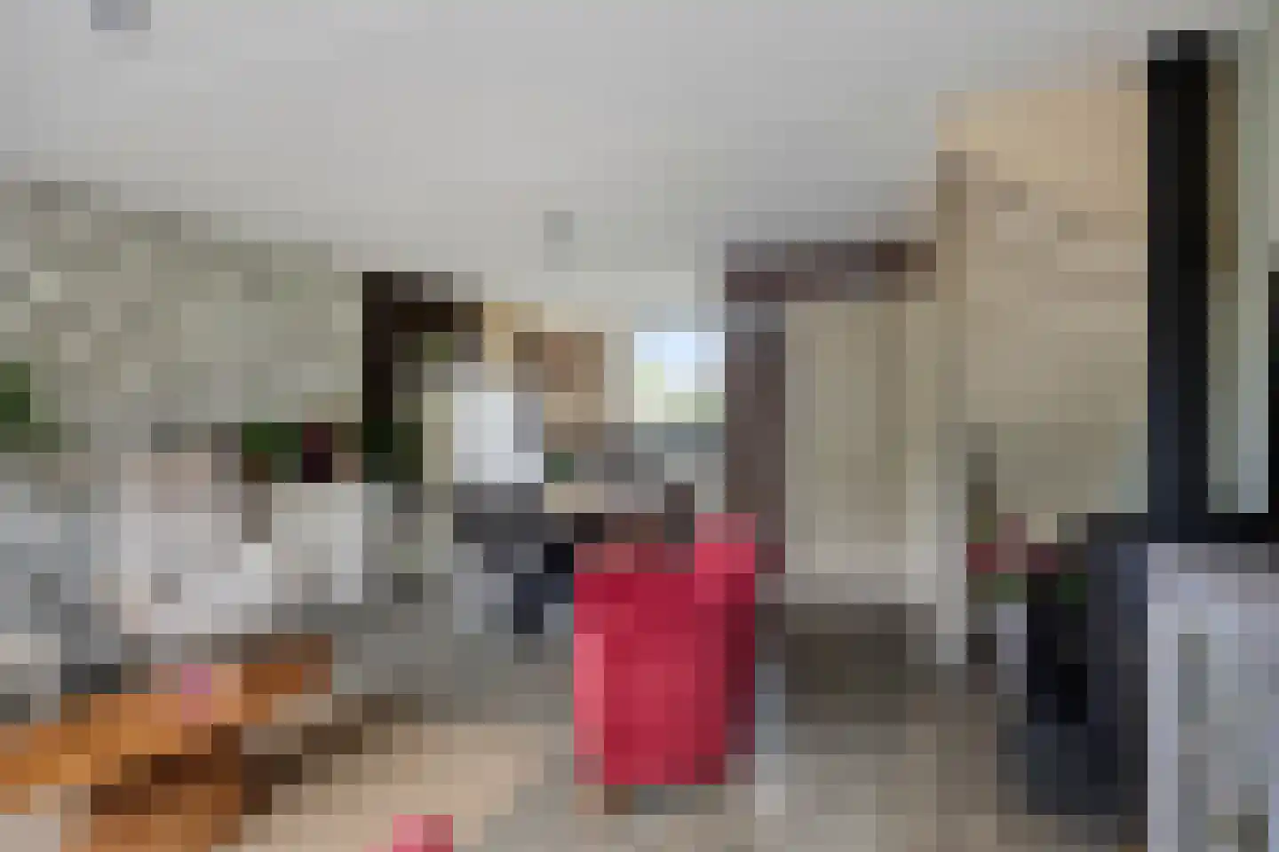 Zonnebloempad 34 Swifterbant thumbnail 22