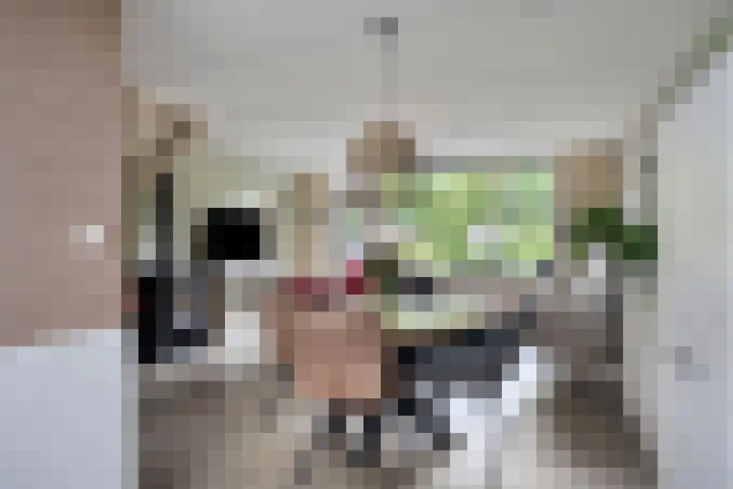 Zonnebloempad 34 Swifterbant thumbnail 23