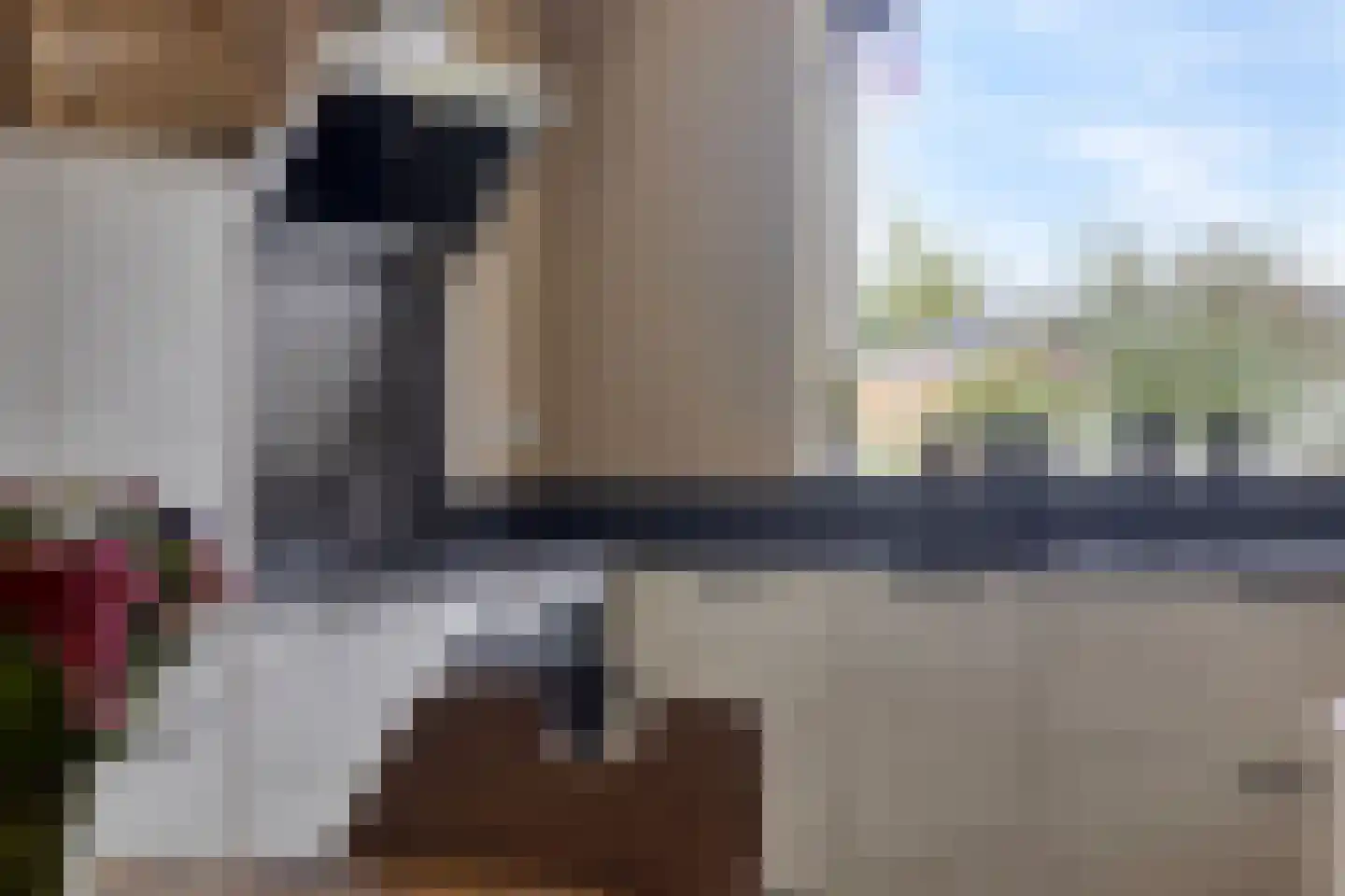 Zonnebloempad 34 Swifterbant thumbnail 27