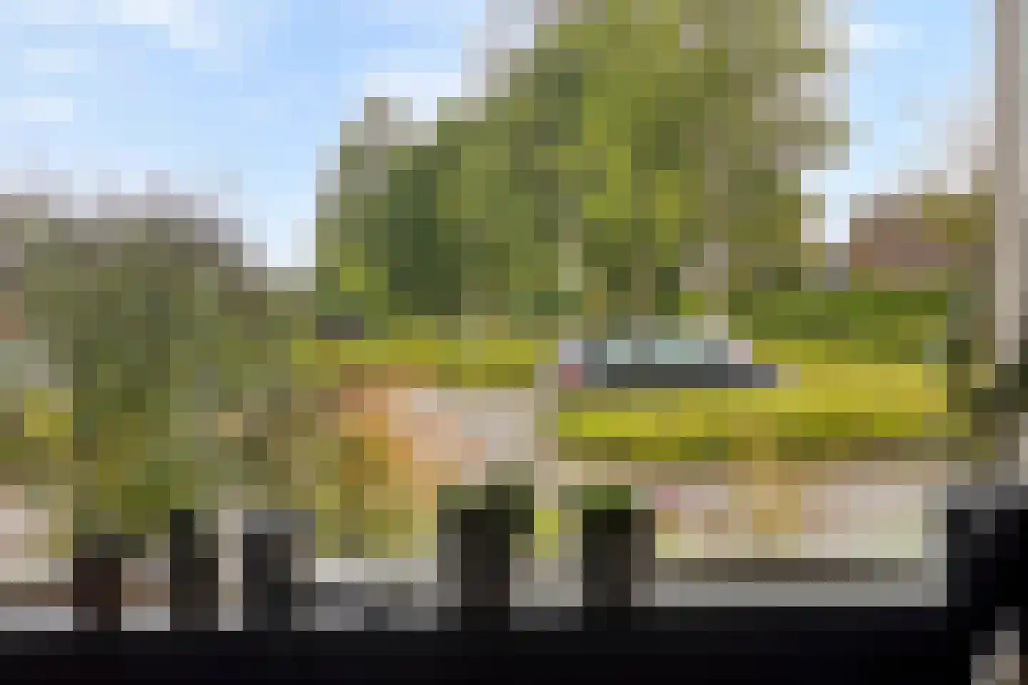 Zonnebloempad 34 Swifterbant thumbnail 28