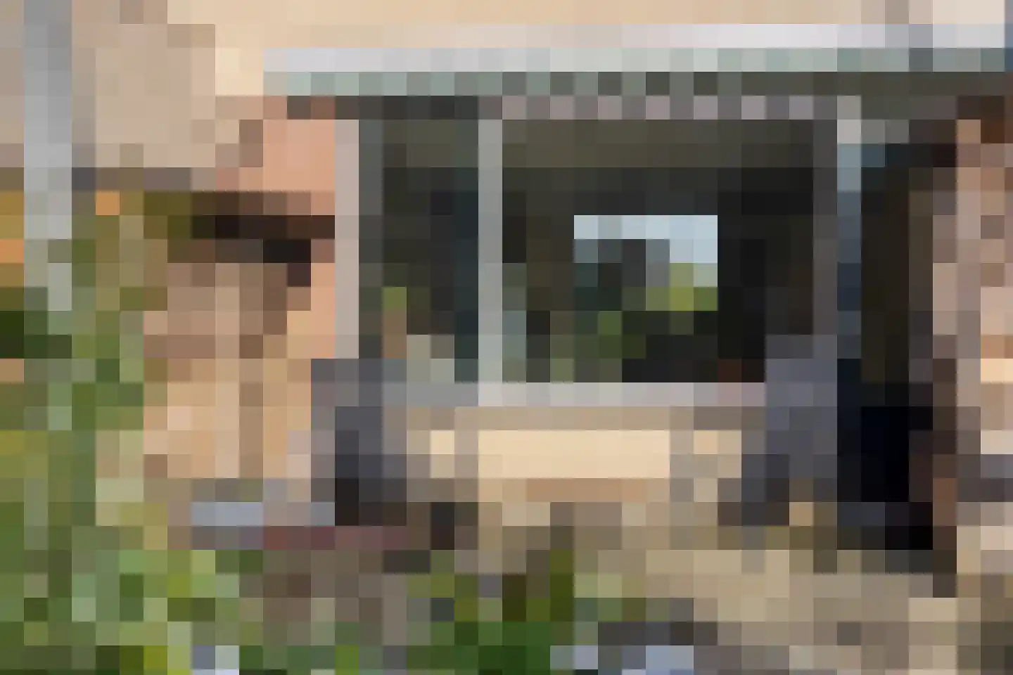 Zonnebloempad 34 Swifterbant thumbnail 43