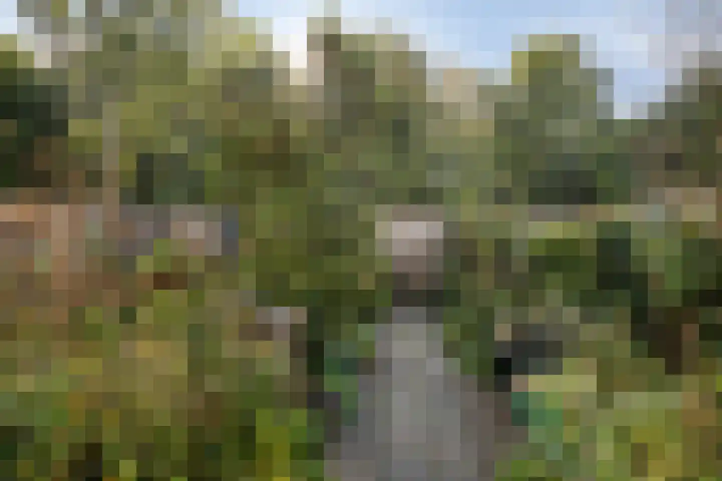 Zonnebloempad 34 Swifterbant thumbnail 46