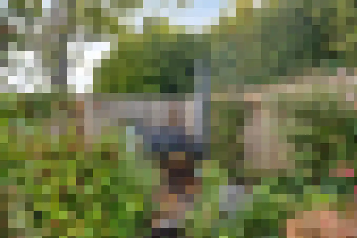 Zonnebloempad 34 Swifterbant thumbnail 47
