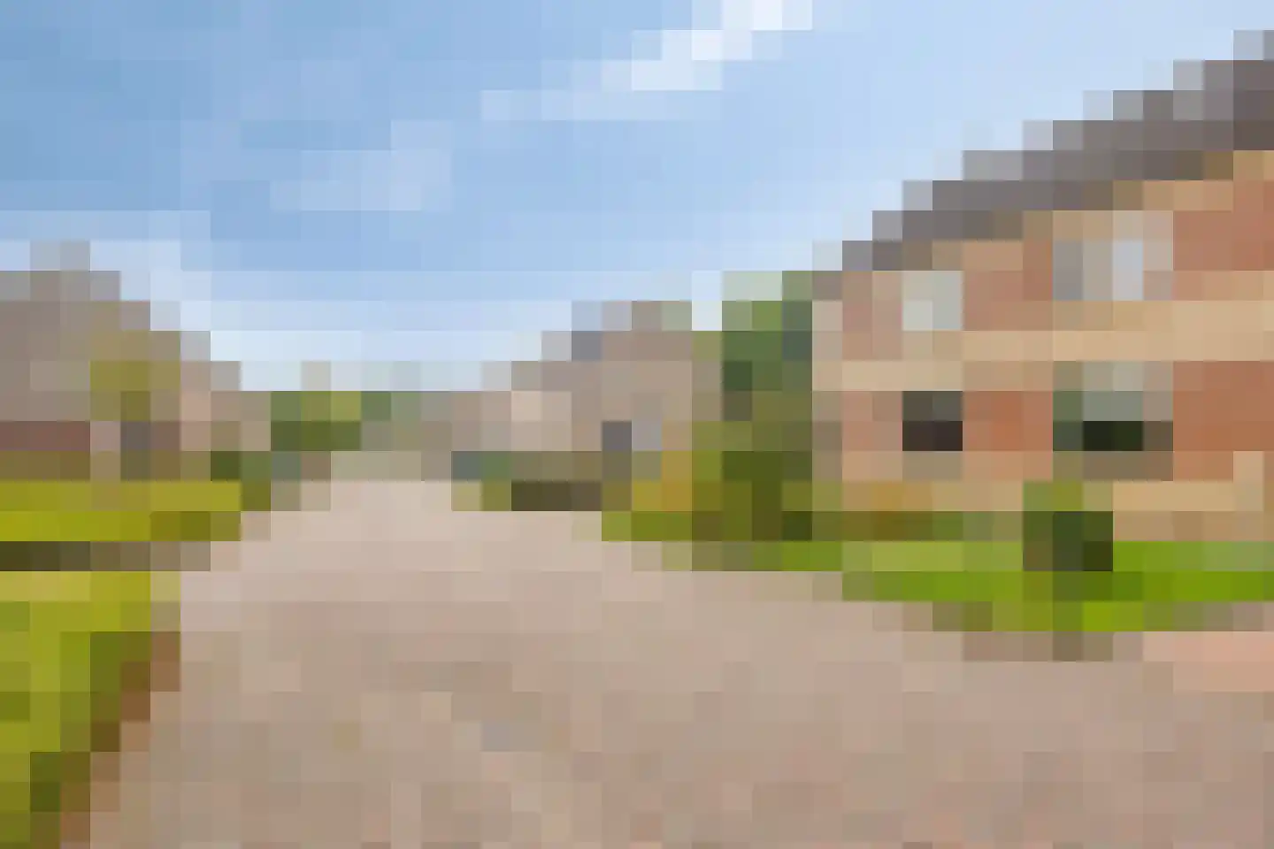 Zonnebloempad 34 Swifterbant thumbnail 52