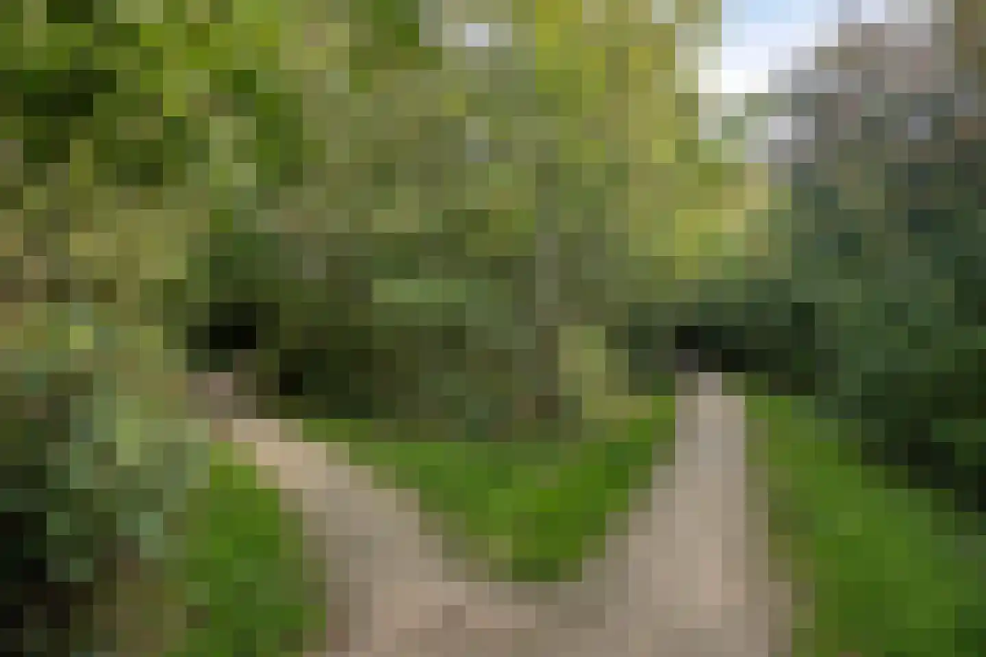 Zonnebloempad 34 Swifterbant thumbnail 55