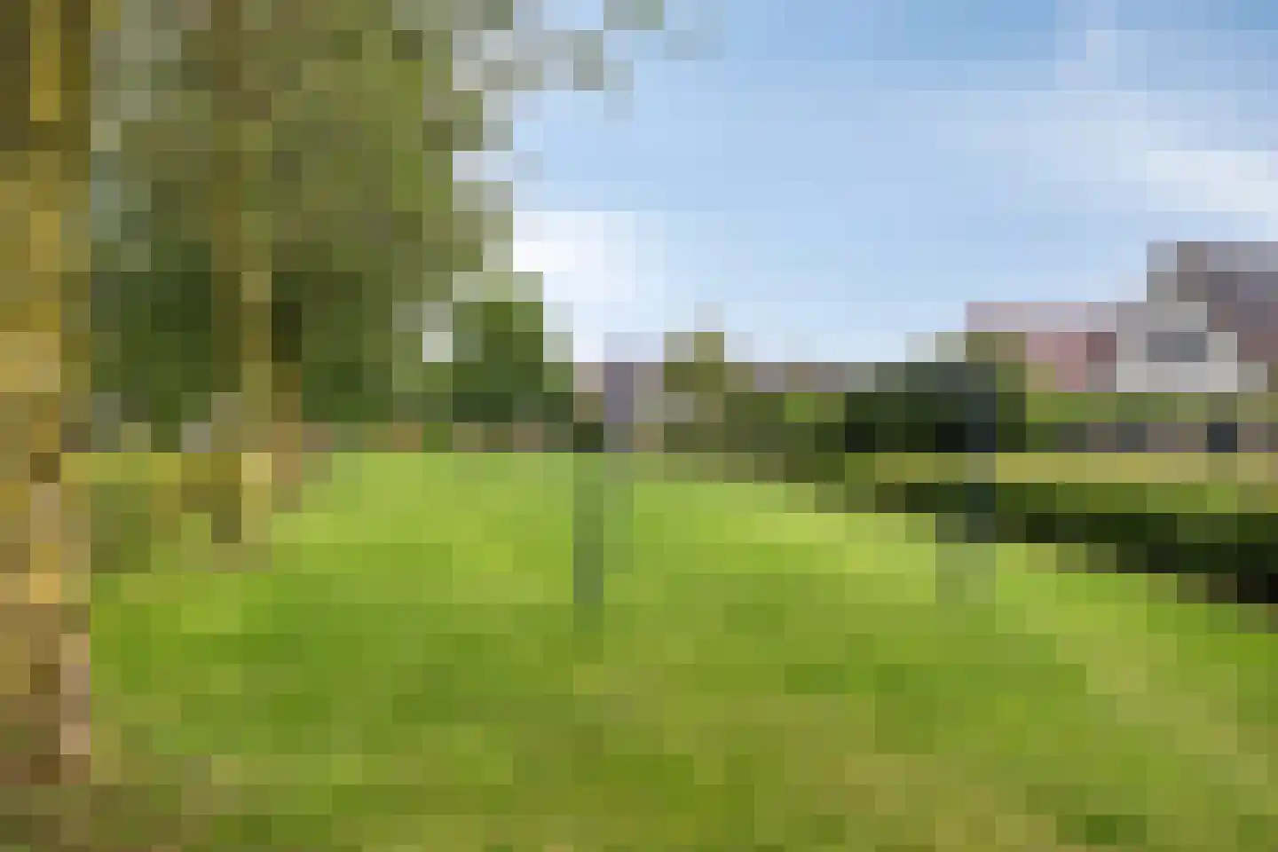 Zonnebloempad 34 Swifterbant thumbnail 56