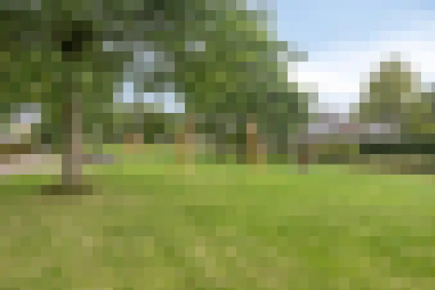Zonnebloempad 34 Swifterbant thumbnail 57