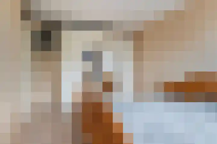 Zonnebloempad 38 Swifterbant thumbnail 11