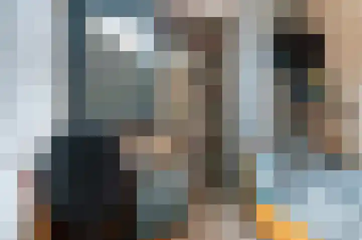 Zonnebloempad 38 Swifterbant thumbnail 13