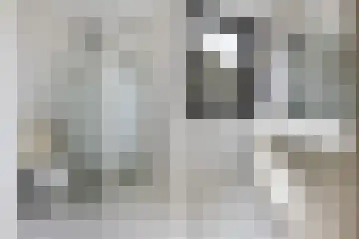 Zonnebloempad 38 Swifterbant thumbnail 14