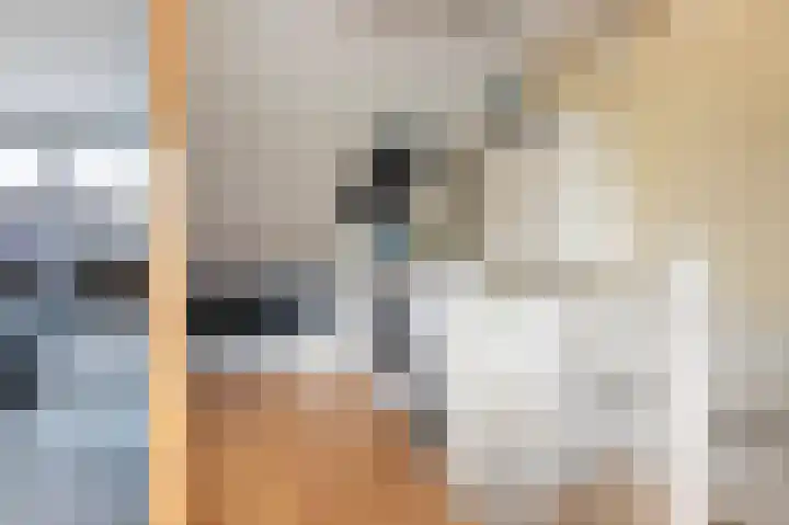 Zonnebloempad 38 Swifterbant thumbnail 15