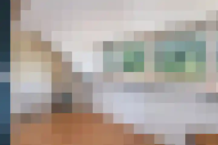 Zonnebloempad 38 Swifterbant thumbnail 16