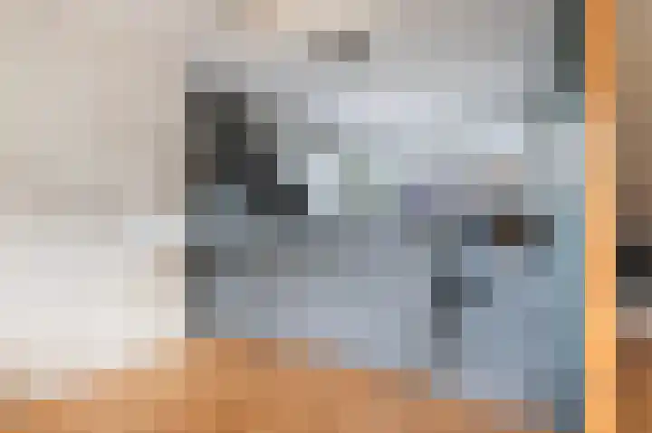 Zonnebloempad 38 Swifterbant thumbnail 17
