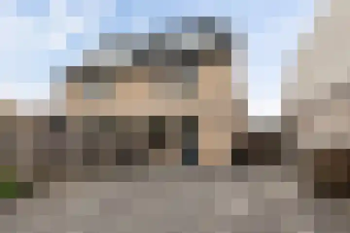 Zonnebloempad 38 Swifterbant thumbnail 18