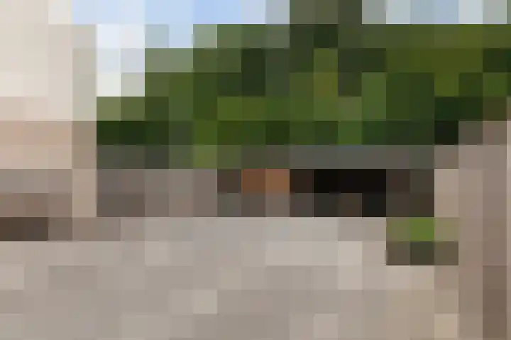 Zonnebloempad 38 Swifterbant thumbnail 19