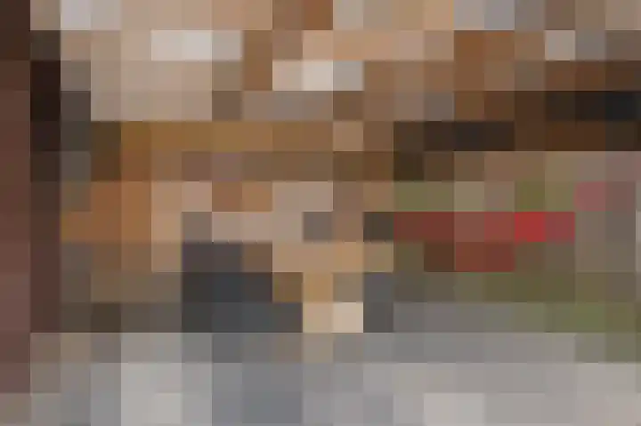 Zonnebloempad 38 Swifterbant thumbnail 20