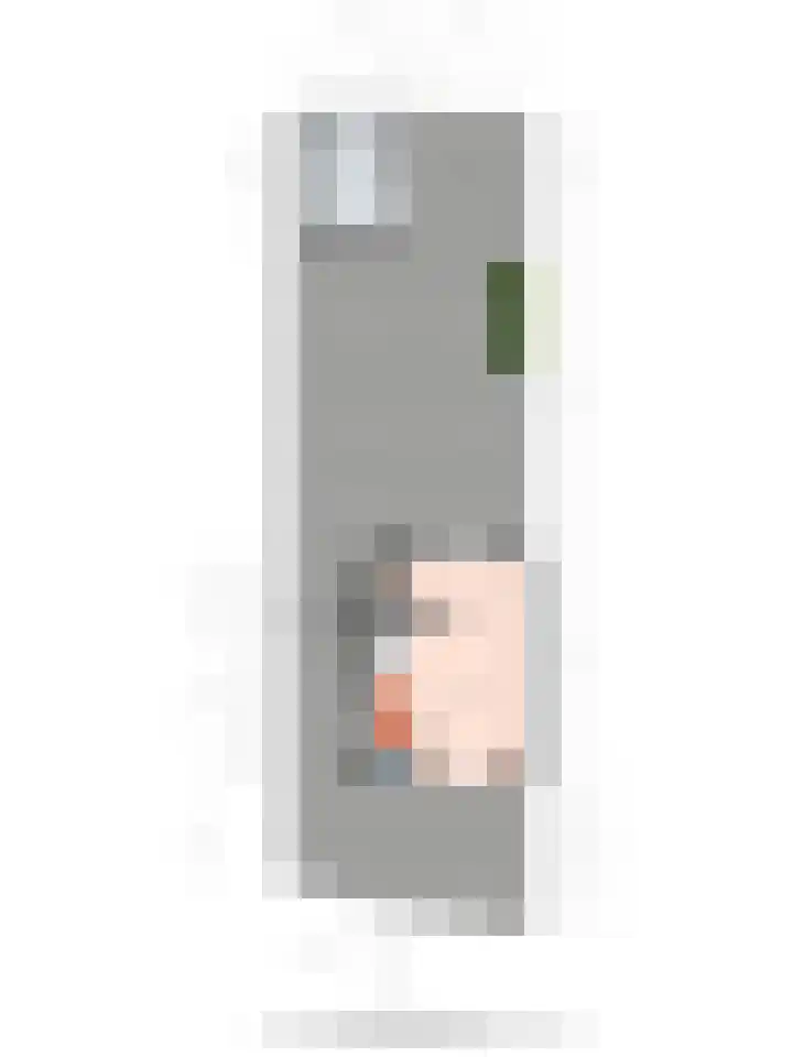 Zonnebloempad 38 Swifterbant thumbnail 21