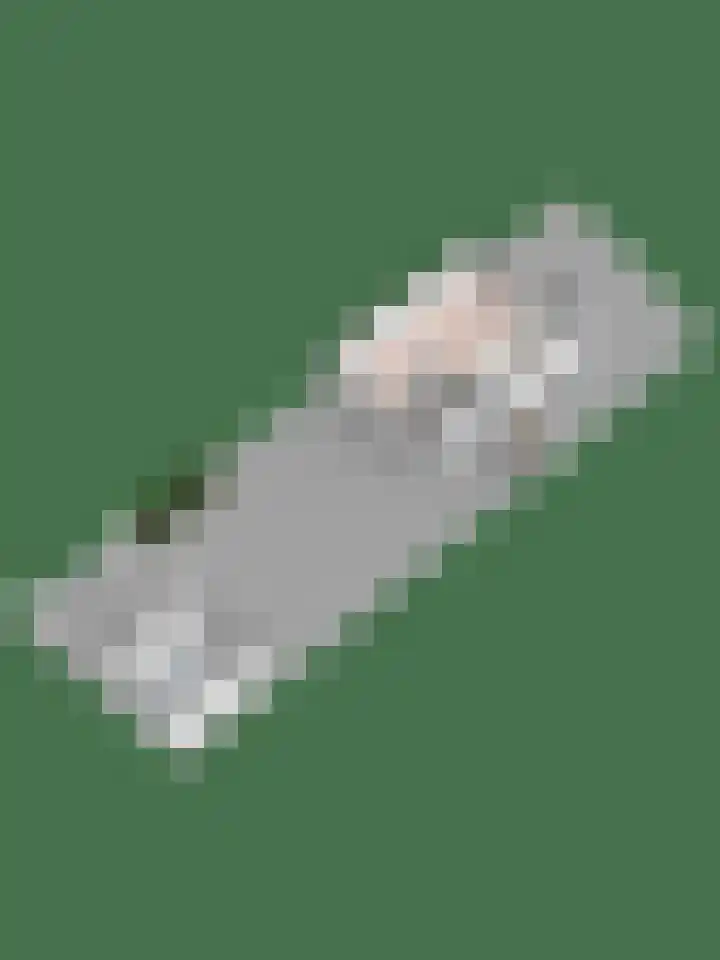 Zonnebloempad 38 Swifterbant thumbnail 26