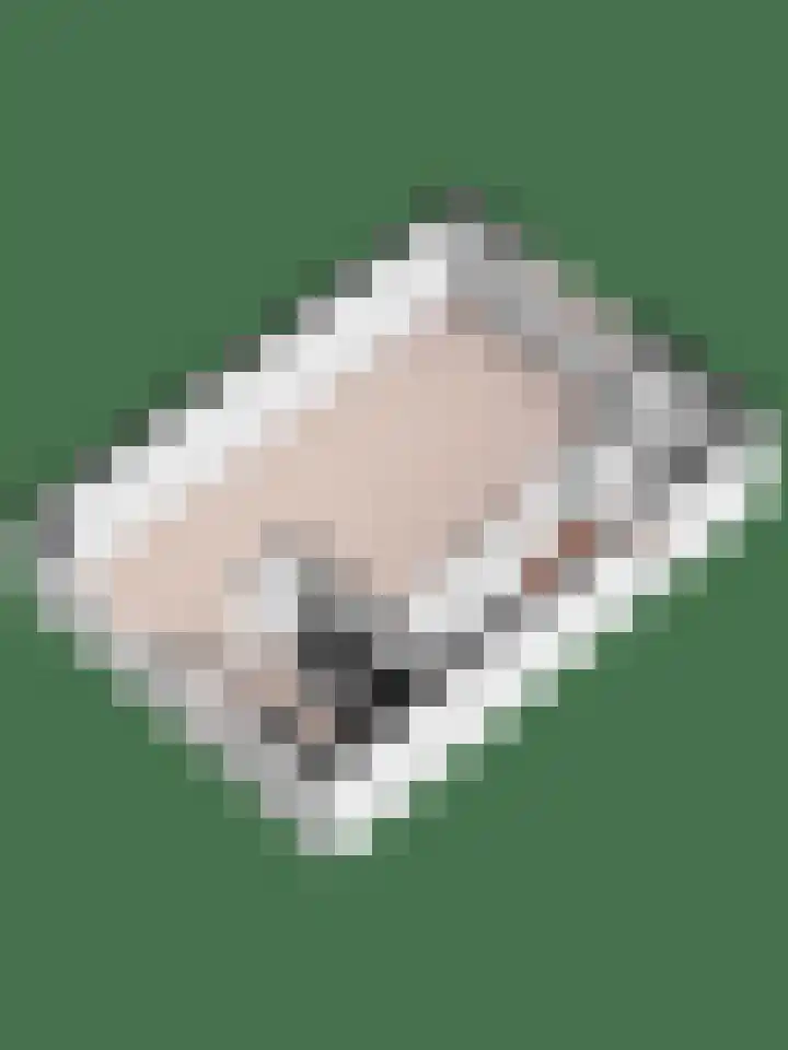 Zonnebloempad 38 Swifterbant thumbnail 27