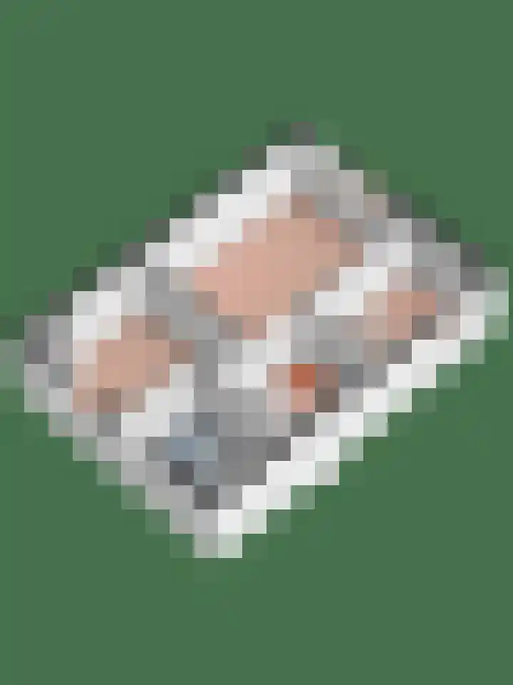 Zonnebloempad 38 Swifterbant thumbnail 28