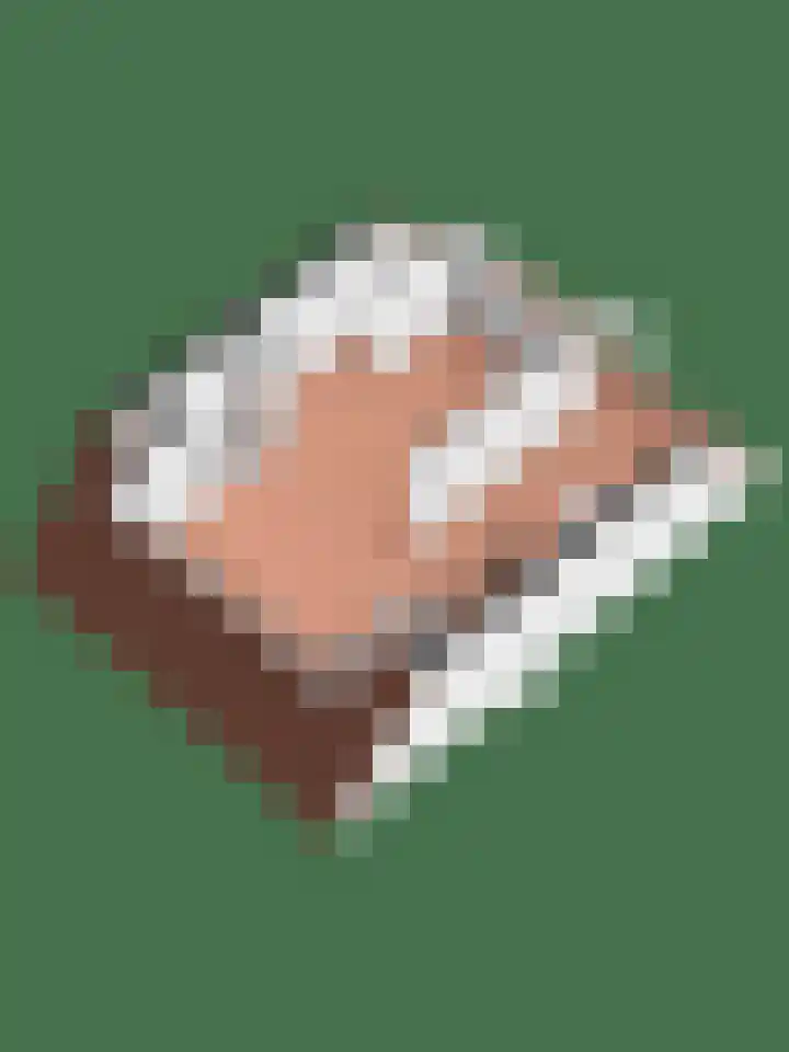 Zonnebloempad 38 Swifterbant thumbnail 29