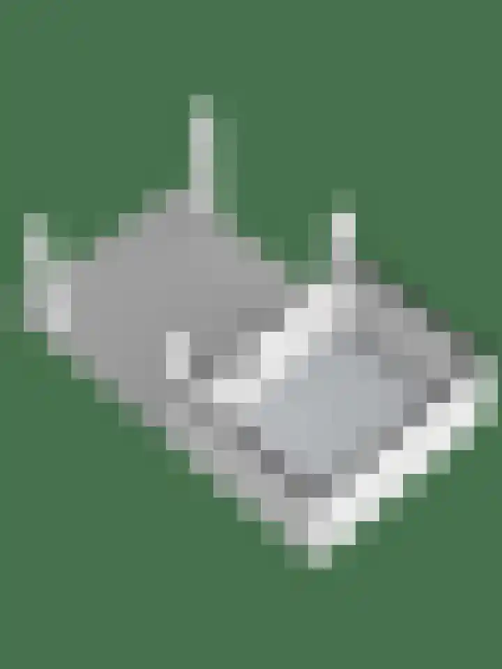 Zonnebloempad 38 Swifterbant thumbnail 30