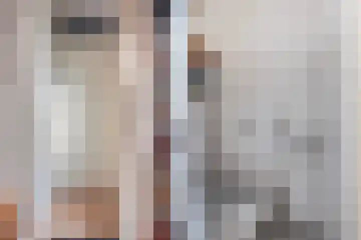 Zonnebloempad 38 Swifterbant thumbnail 5