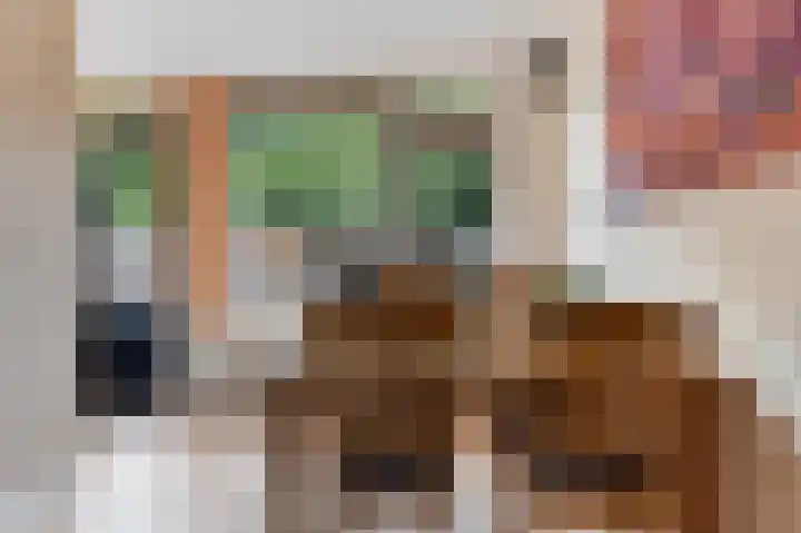 Zonnebloempad 38 Swifterbant thumbnail 8