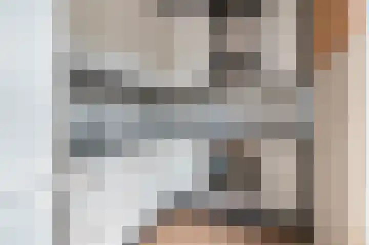 Zonnebloempad 38 Swifterbant thumbnail 9