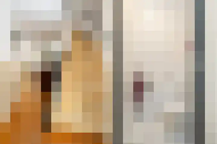 Zonnebloempad 40 Swifterbant thumbnail 10