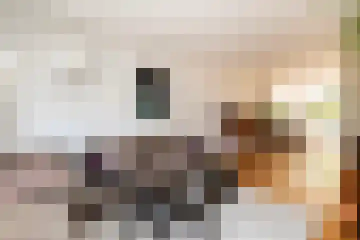 Zonnebloempad 40 Swifterbant thumbnail 11